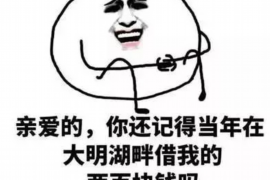 浦北债务清欠服务